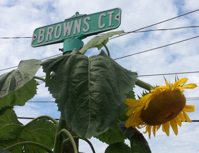 FullSizeRender copy 6