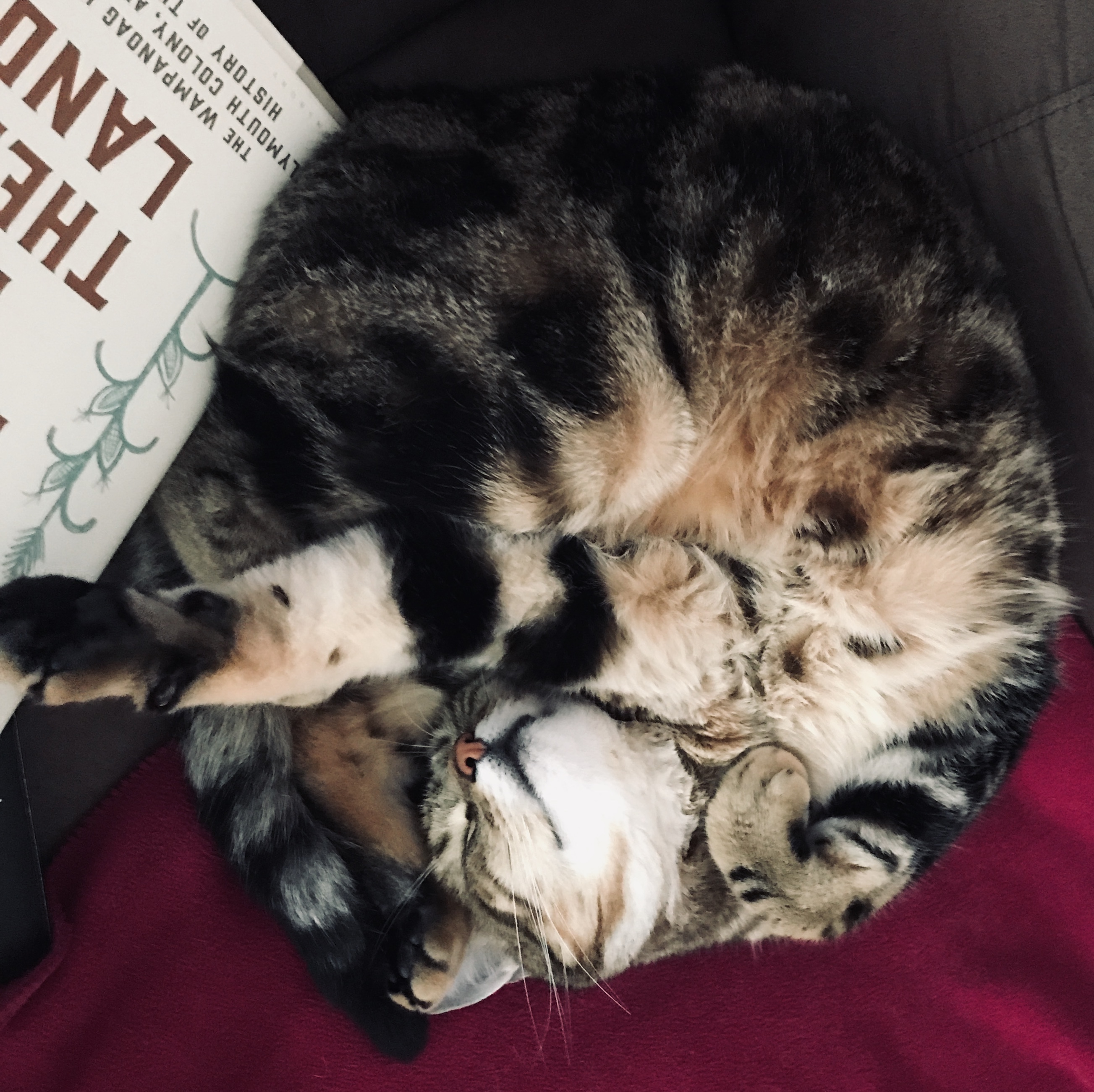 59726909138__BF33AA8B-25A4-4628-93FC-66383F62A886