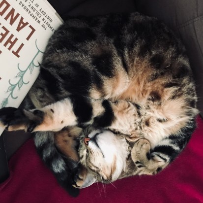 59726909138__BF33AA8B-25A4-4628-93FC-66383F62A886