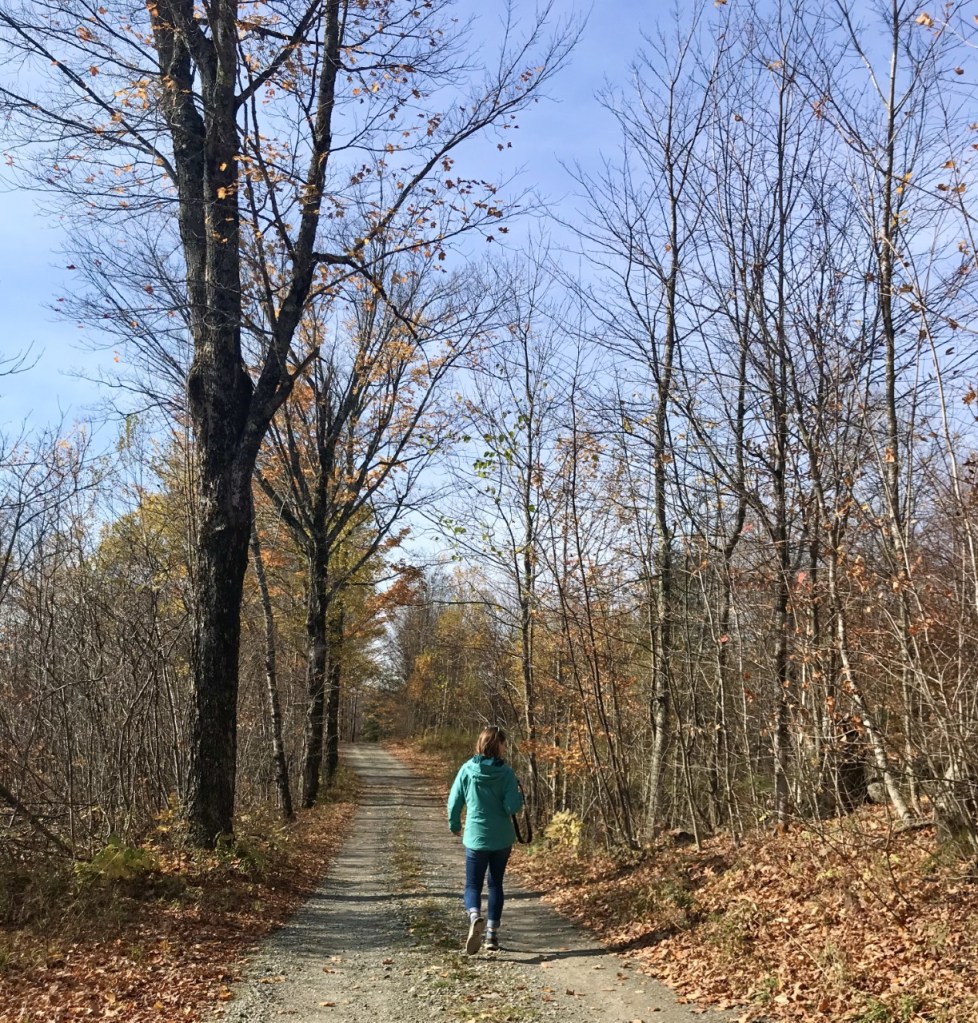 This image has an empty alt attribute; its file name is thumbnail_img_8538.jpg