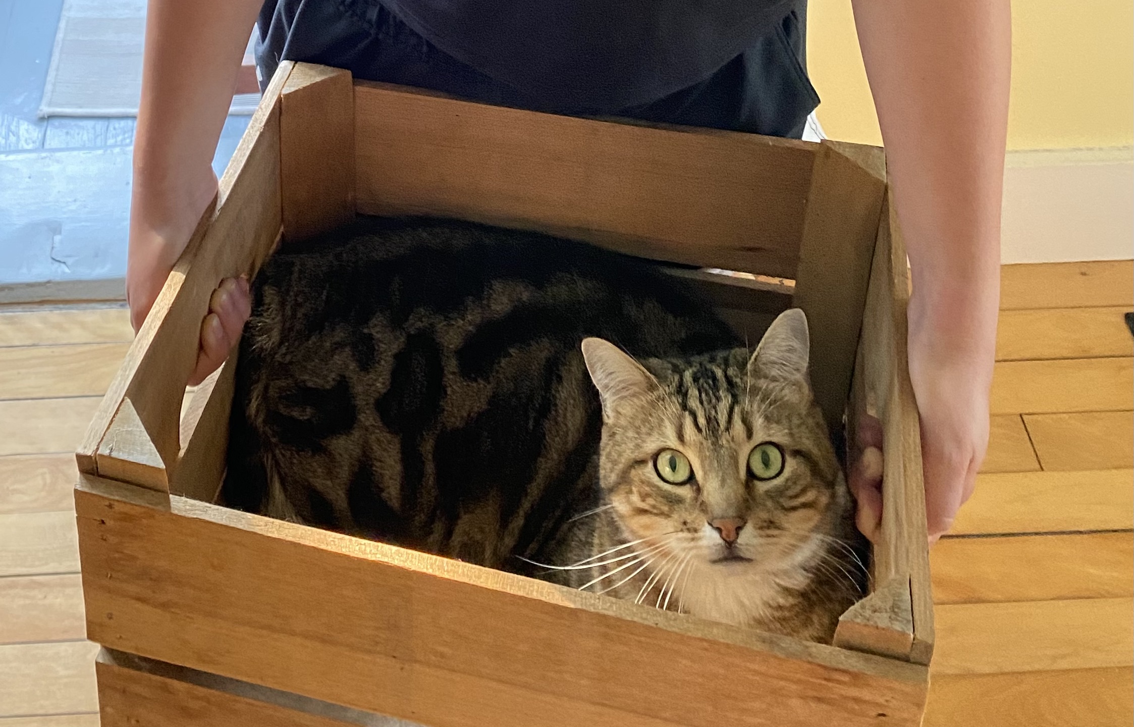 Unfathomable fortune. | Stony Soil Vermont